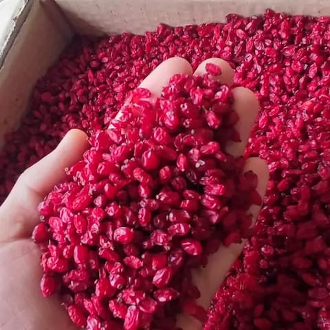 تصویر 3 از قیمت خرید زرشک پفکی لوکس با فروش عمده
